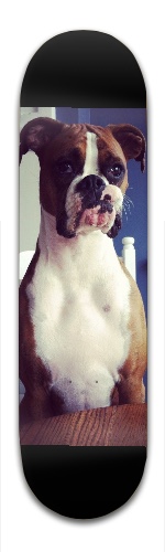 Design 101838 Skateboards, Longboards and Grip Tape Image