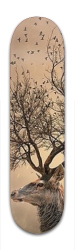 Design 102480 Skateboards, Longboards and Grip Tape