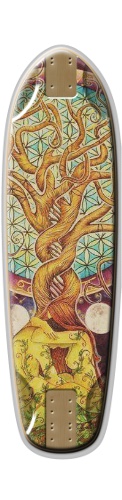 Design 103049 Skateboards, Longboards and Grip Tape
