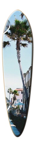 Design 105338 Skateboards, Longboards and Grip Tape