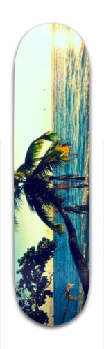 Design 107012 Skateboards, Longboards and Grip Tape