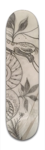 Design 116535 Skateboards, Longboards and Grip Tape Image