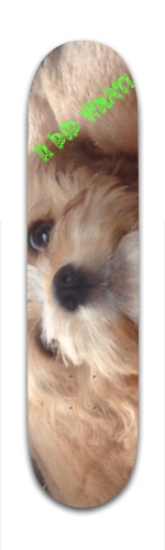 Design 119789 Skateboards, Longboards and Grip Tape Image