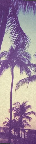 Design 123423