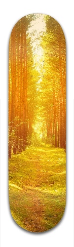 Design 123505 Skateboards, Longboards and Grip Tape