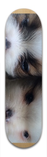 Design 129243 Skateboards, Longboards and Grip Tape Image