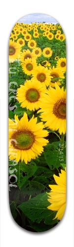 Design 139854 Skateboards, Longboards and Grip Tape