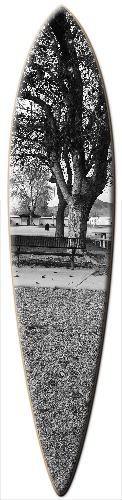 Design 150209 Skateboards, Longboards and Grip Tape