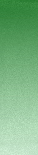 Design 156143