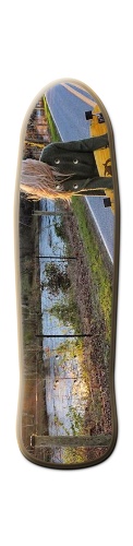Design 159617