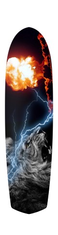 Design 16111 Skateboards, Longboards and Grip Tape