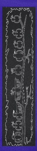 Design 162471 Skateboards, Longboards and Grip Tape