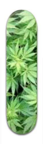 Design 163671 Skateboards, Longboards and Grip Tape Image