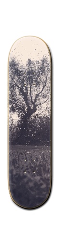 Design 165074 Skateboards, Longboards and Grip Tape