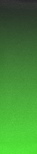 NeonGreen-Black Gradient Gator