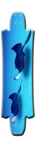 Design 168409