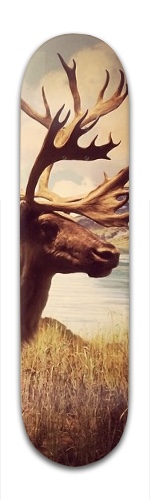 Design 168643 Skateboards, Longboards and Grip Tape