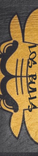 Design 169313