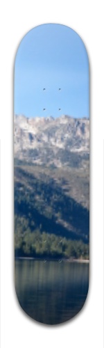 Design 178610 Skateboards, Longboards and Grip Tape Image