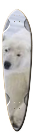 Design 179755 Skateboards, Longboards and Grip Tape