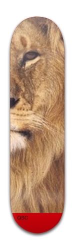 Design 182833 Skateboards, Longboards and Grip Tape