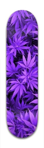 Design 183199 Skateboards, Longboards and Grip Tape