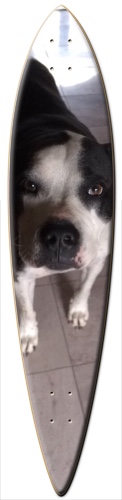 Design 185444 Skateboards, Longboards and Grip Tape