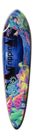 Design 187152 Skateboards, Longboards and Grip Tape