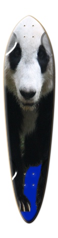 Design 187628 Skateboards, Longboards and Grip Tape Image