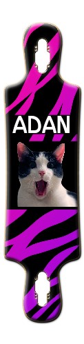Kat