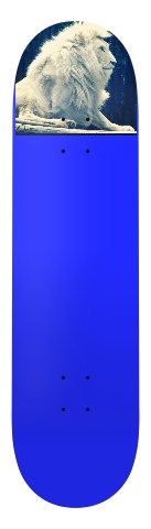 Design 20185 Skateboards, Longboards and Grip Tape