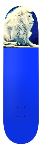 Design 20193