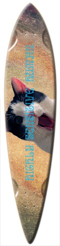Design 203596 Skateboards, Longboards and Grip Tape Image