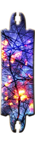 Design 203717