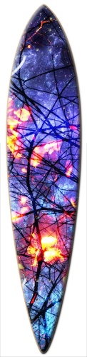 Design 204495