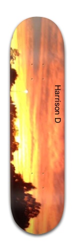 Design 204560 Skateboards, Longboards and Grip Tape