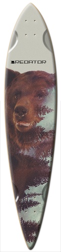 Predator bear