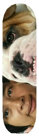 Design 20801 Skateboards, Longboards and Grip Tape Image