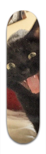 Design 209706 Skateboards, Longboards and Grip Tape Image