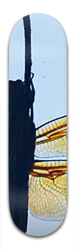 Design 210112