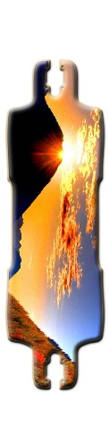 Design 210258 Skateboards, Longboards and Grip Tape