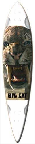 Design 211147 Skateboards, Longboards and Grip Tape