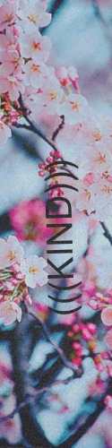 Design 211388 Skateboards, Longboards and Grip Tape Image