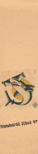 Design 215506 Skateboards, Longboards and Grip Tape