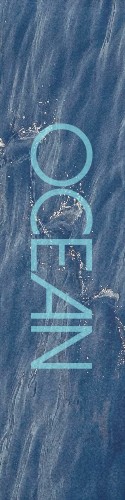 Design 217713 Skateboards, Longboards and Grip Tape