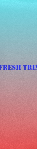 Design 217958 Skateboards, Longboards and Grip Tape