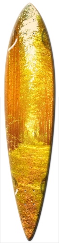 Design 221077 Skateboards, Longboards and Grip Tape