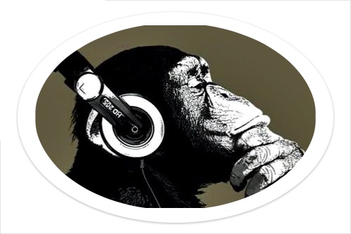 Crazy Monkey