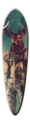 Design 224117 Skateboards, Longboards and Grip Tape