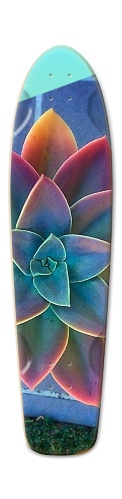 Design 224119 Skateboards, Longboards and Grip Tape